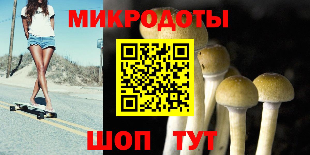 Галлюциногенные грибы MAGIC MUSHROOMS  Вход с VPN  Северобайкальск  Псилоцибиновые грибы Psilocybe 